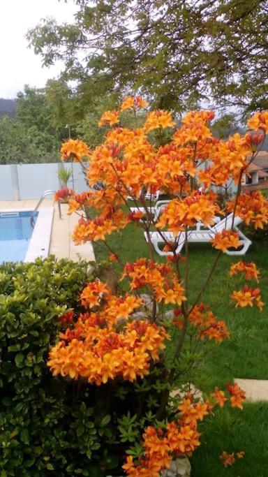 Casat5, Ferias, Piscina Privativa. Agueda, Aveiro Villa Buitenkant foto